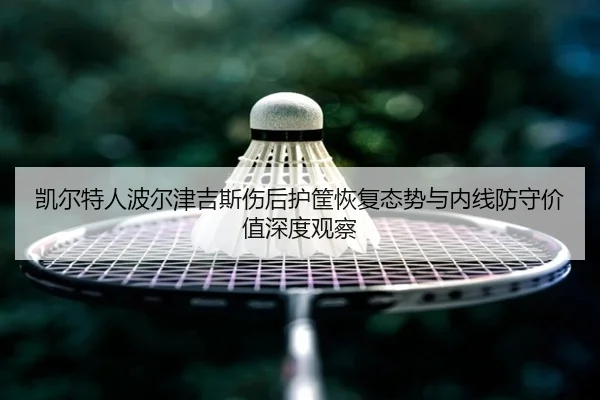 凯尔特人波尔津吉斯伤后护筐恢复态势与内线防守价值深度观察
